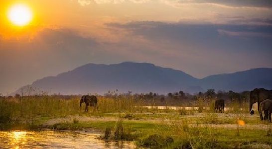 Zambia Safaris